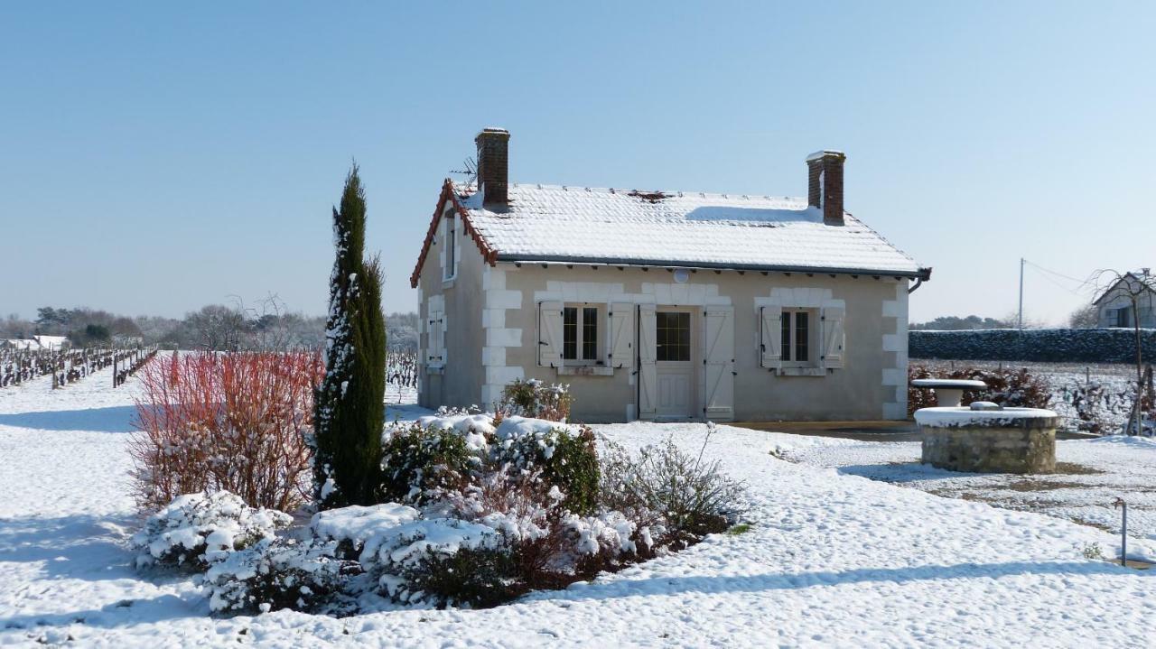 L'Ecrin Au Coeur Des Vignes Villa Saint-Georges-sur-Cher Exteriör bild