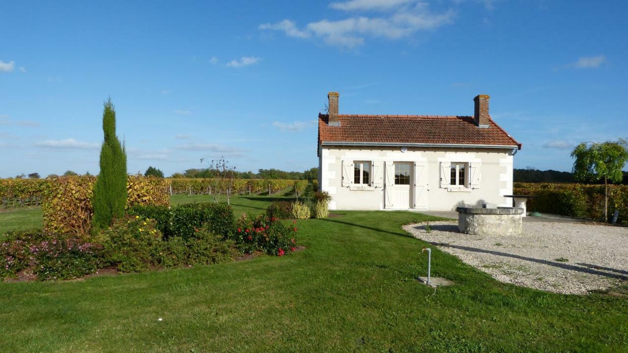 L'Ecrin Au Coeur Des Vignes Villa Saint-Georges-sur-Cher Exteriör bild