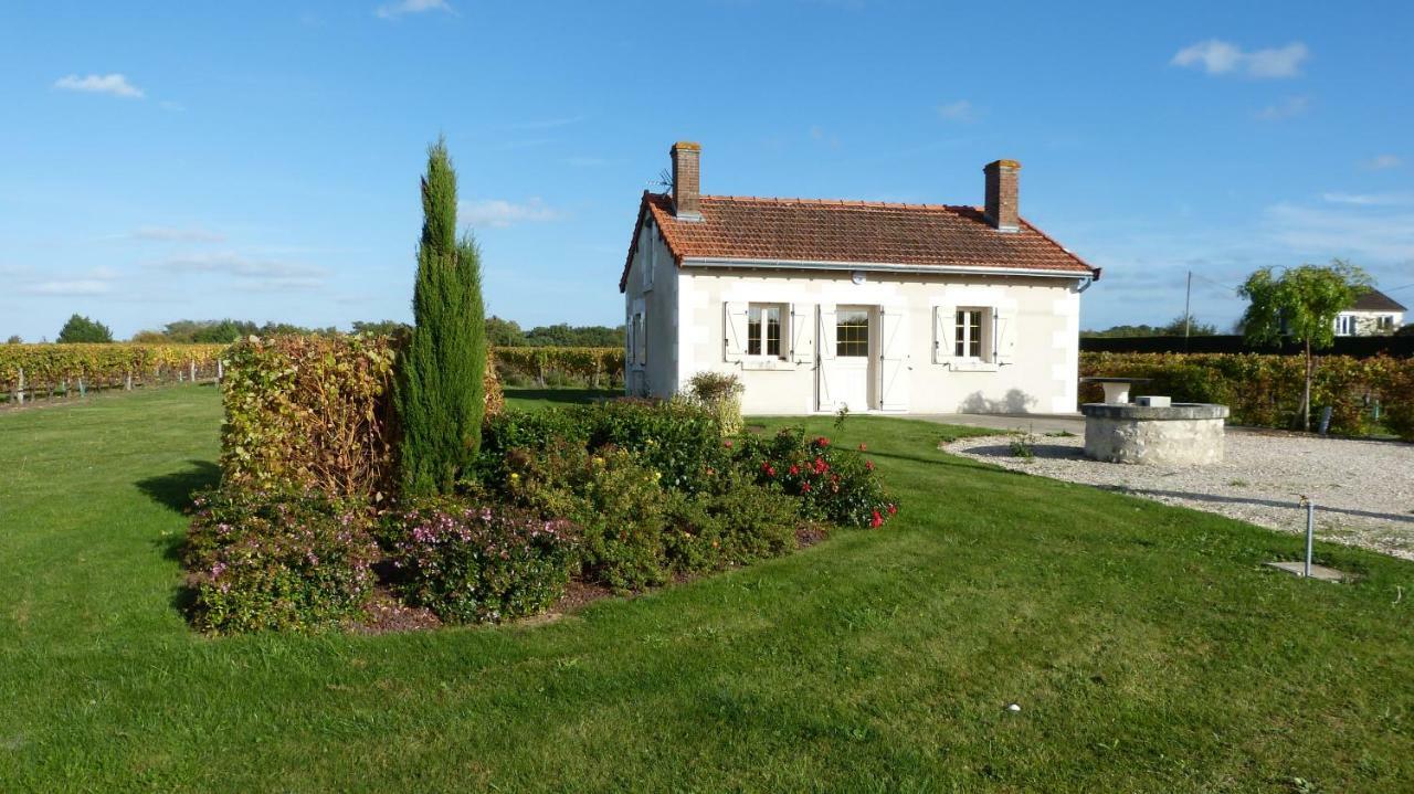 L'Ecrin Au Coeur Des Vignes Villa Saint-Georges-sur-Cher Exteriör bild